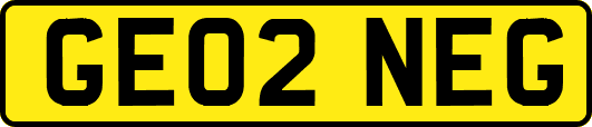 GE02NEG