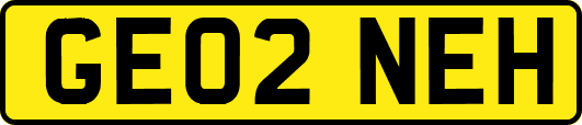 GE02NEH