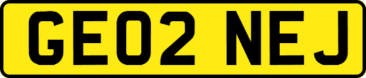 GE02NEJ