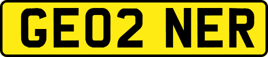 GE02NER