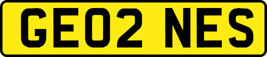 GE02NES