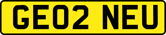GE02NEU