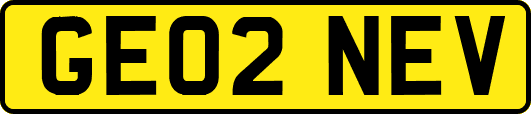 GE02NEV