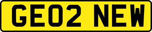 GE02NEW