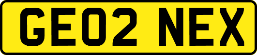 GE02NEX