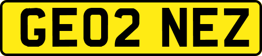 GE02NEZ