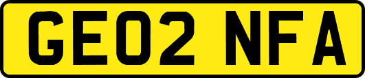 GE02NFA