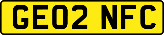 GE02NFC
