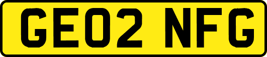 GE02NFG
