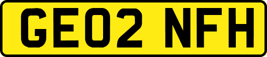 GE02NFH