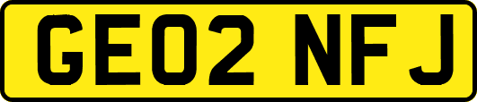 GE02NFJ