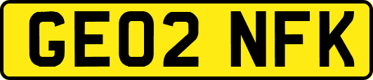 GE02NFK
