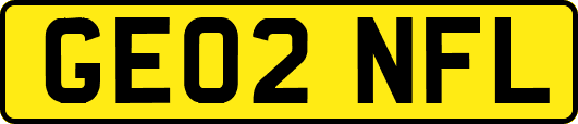 GE02NFL