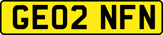 GE02NFN