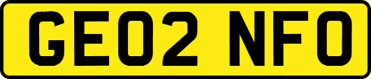 GE02NFO