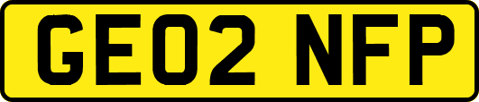 GE02NFP