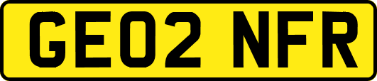 GE02NFR