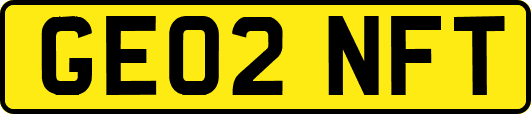 GE02NFT
