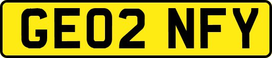 GE02NFY