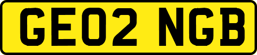 GE02NGB