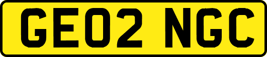 GE02NGC