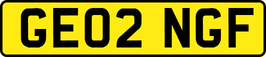 GE02NGF