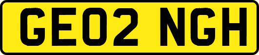 GE02NGH