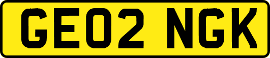 GE02NGK