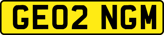 GE02NGM