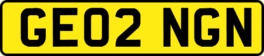 GE02NGN