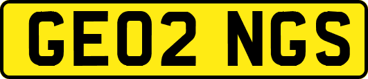 GE02NGS