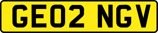 GE02NGV