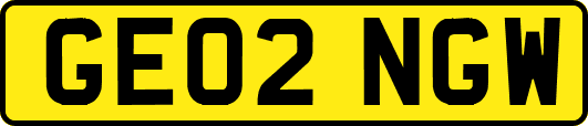 GE02NGW