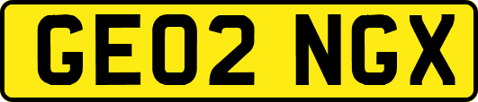 GE02NGX