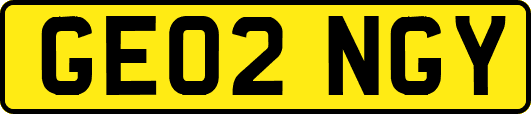 GE02NGY