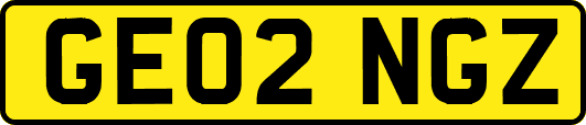 GE02NGZ