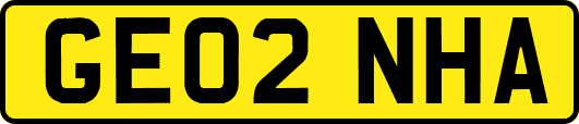 GE02NHA