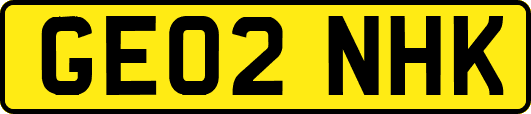 GE02NHK