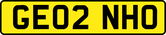 GE02NHO