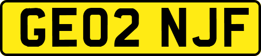GE02NJF