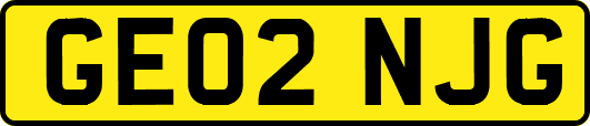 GE02NJG
