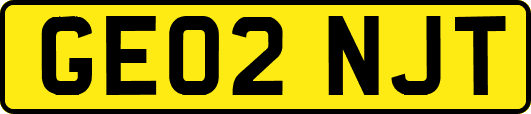 GE02NJT