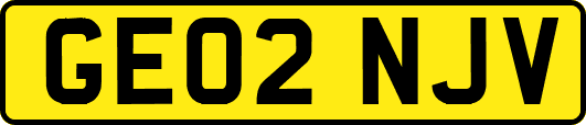 GE02NJV