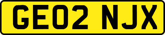 GE02NJX