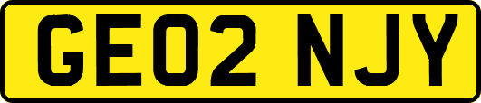 GE02NJY