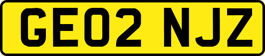 GE02NJZ