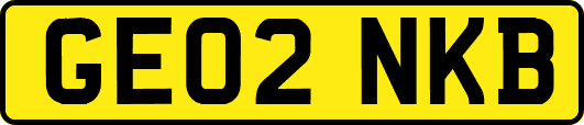 GE02NKB