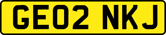 GE02NKJ