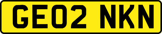 GE02NKN