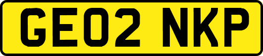 GE02NKP